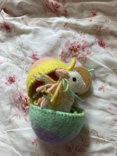 Customer photo review of Felt Surprise Egg with Rainbow Unicorn Inside