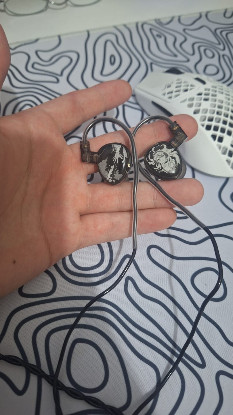 Customer photo review of Wraith evoX IEM Kulaklık
