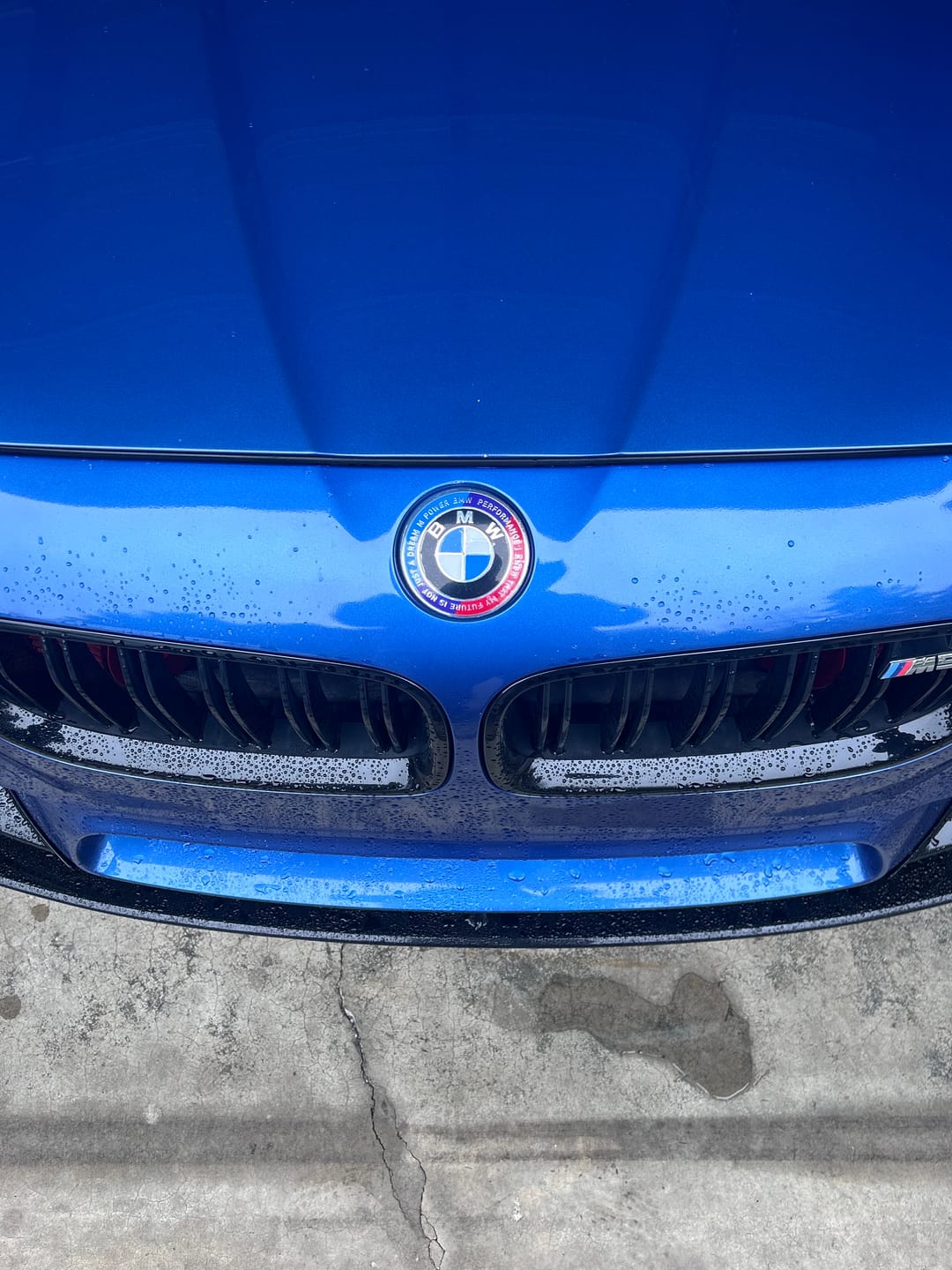 Customer photo review of BMW 50TH EMBLEM BADGE - BLUE & RED