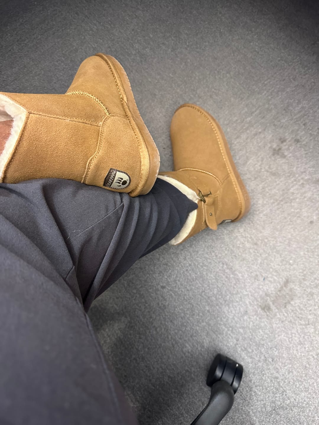 Customer photo review of BEARCOAT 6OZ REPELLENT
