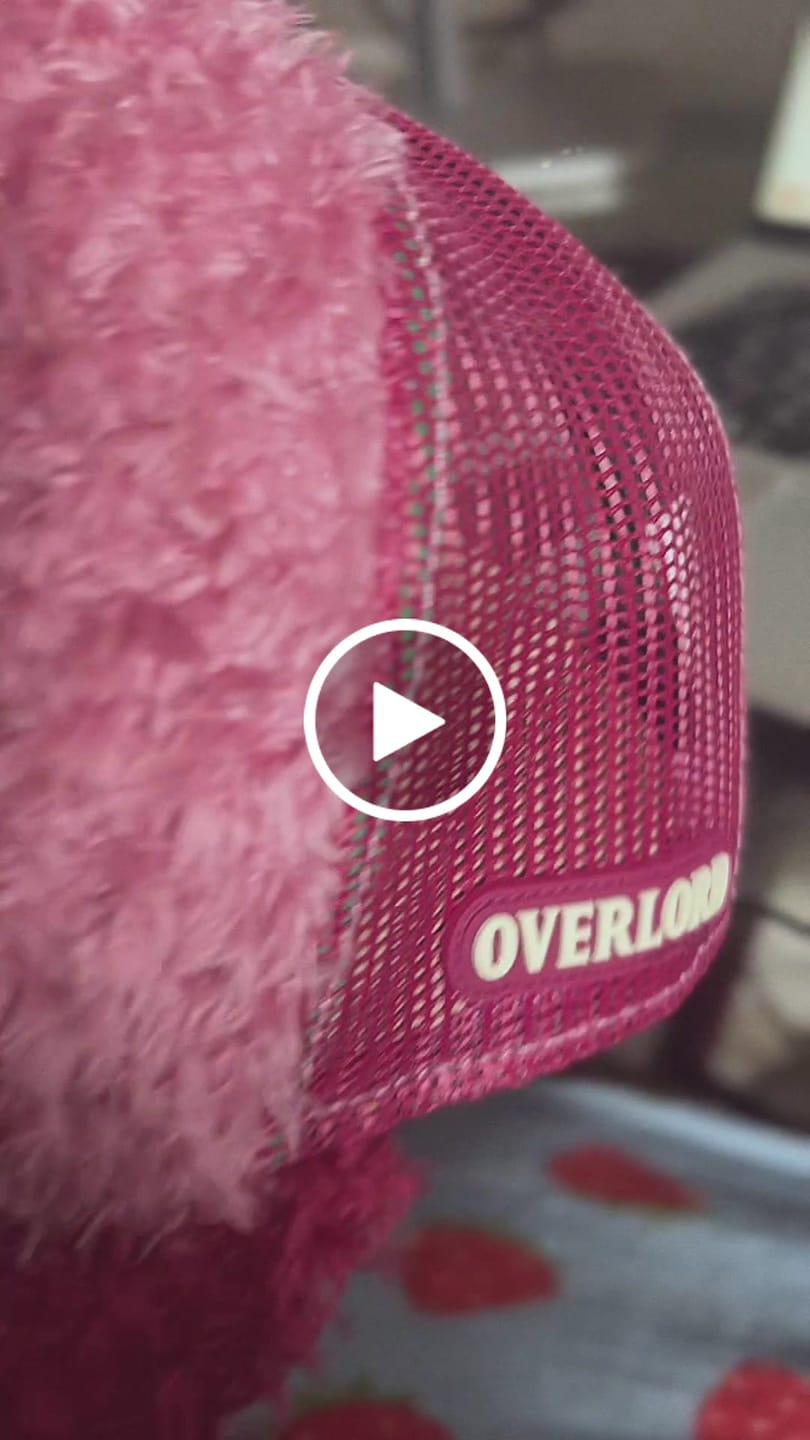 Customer video review of OVERLORD x Sesame Street - Two-Headed Monster
