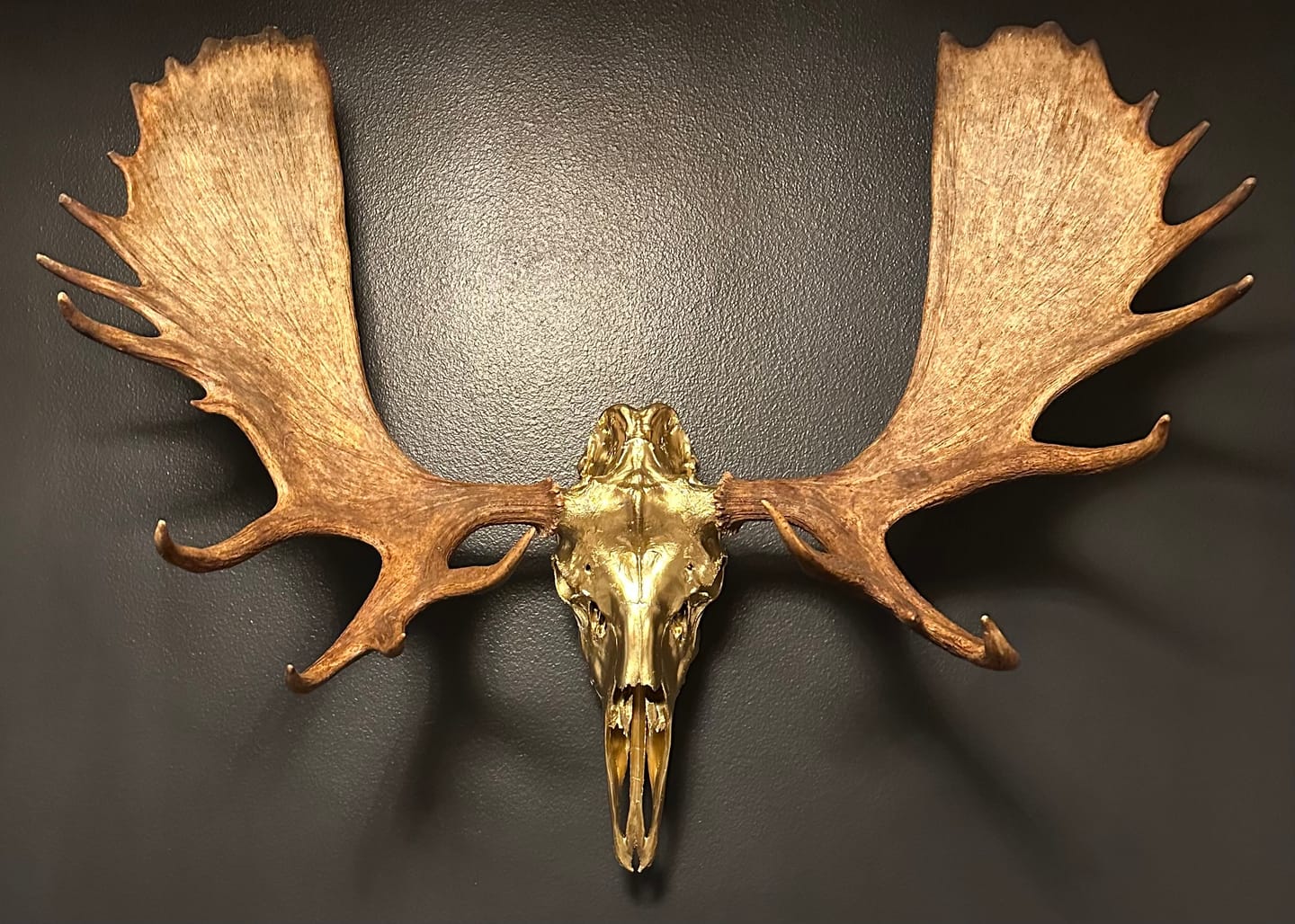Customer photo review of SkulLok | Large Game