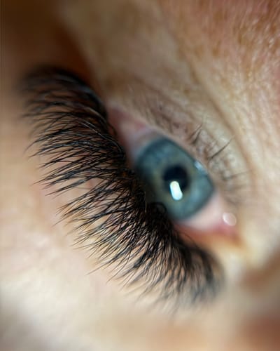 Customer photo review of Fertig Fächer W Lashes XXL Box 5200Fächer