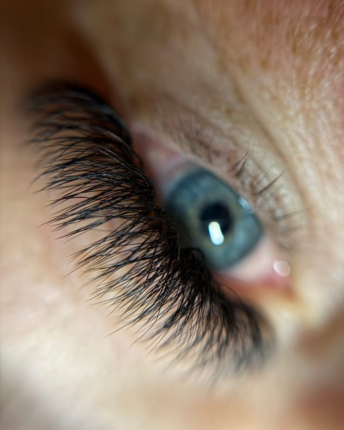 Customer photo review of Fertig Fächer W Lashes XXL Box 5200Fächer
