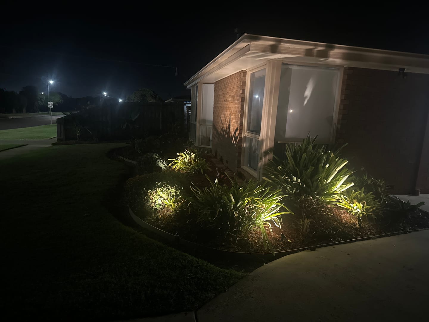 Customer photo review of GardenBrite™ Solar Spotlight Pack