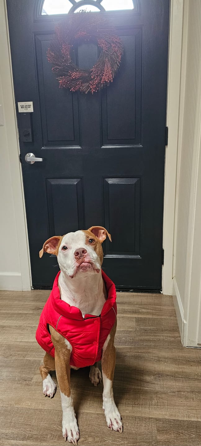 Customer photo review of WarmShield Water-Resistant Jacket - Red