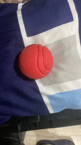 Customer photo review of CT1773 1 Pieza De Juguete De Pelota Para Perros