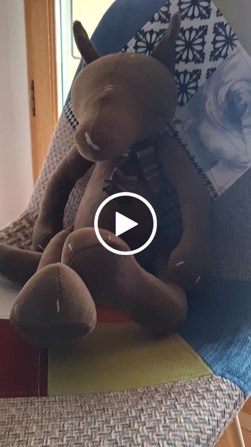 Customer video review of LES ÉCHARPES - M/L/XL