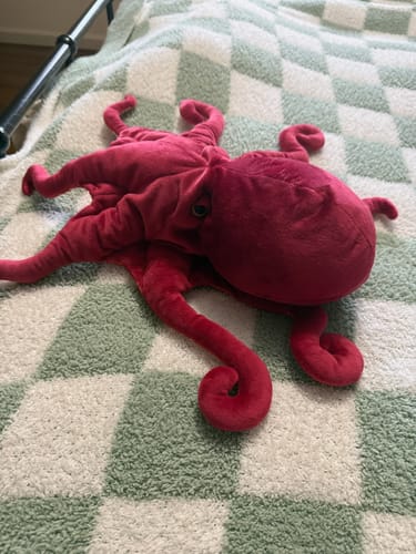 Customer photo review of Red Octopus Soft Stuffed Plush Toy