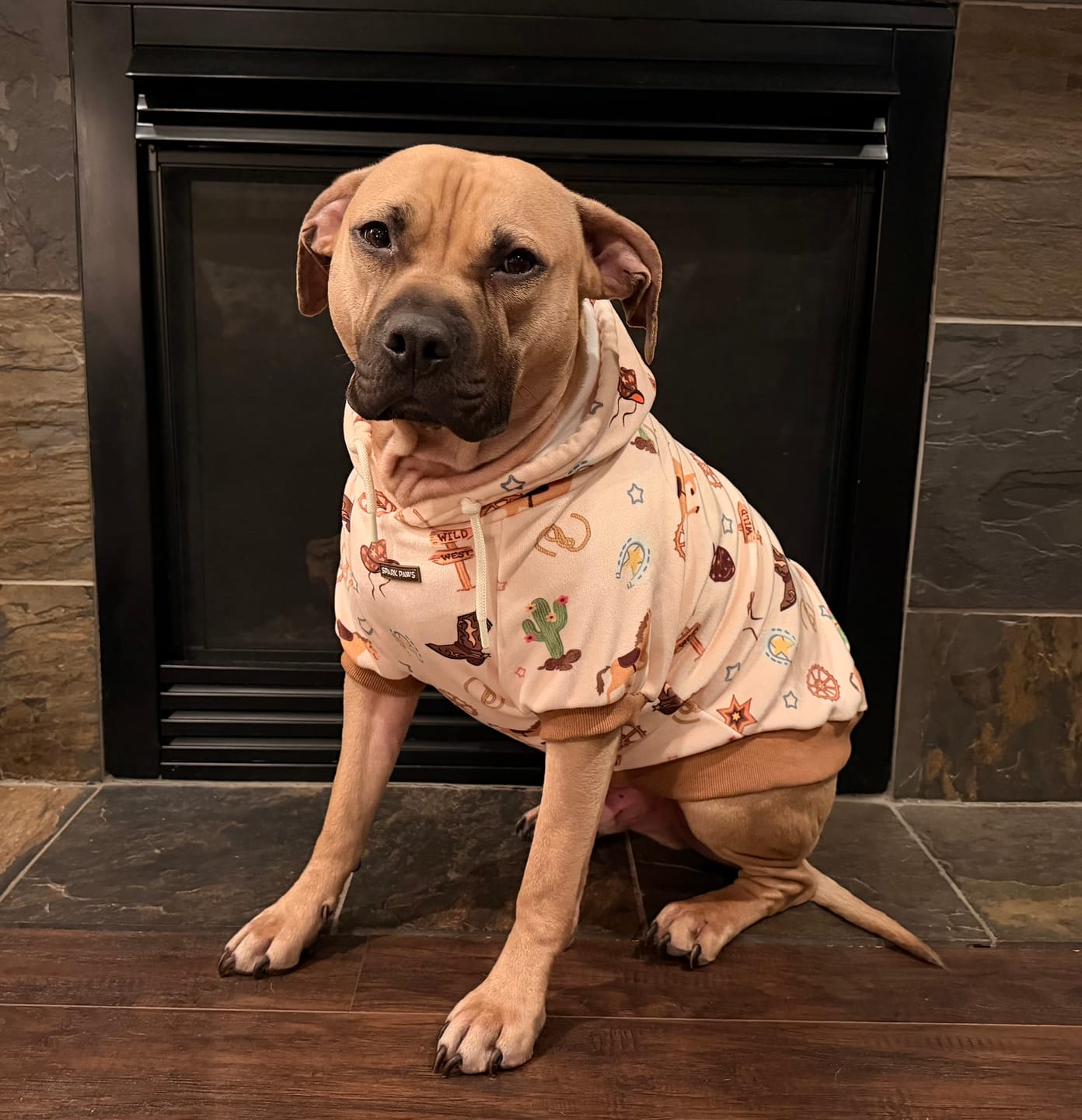 Customer photo review of Rodeo Dog Hoodie