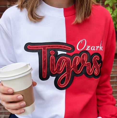 Customer photo review of Custom Glitter Team Mascot Two Tone Embroidered Sweatshirt For Game Day