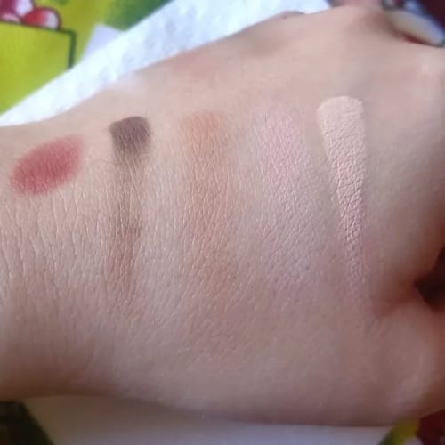 Customer photo review of JUDYDOLL Portable Mini Makeup Palette