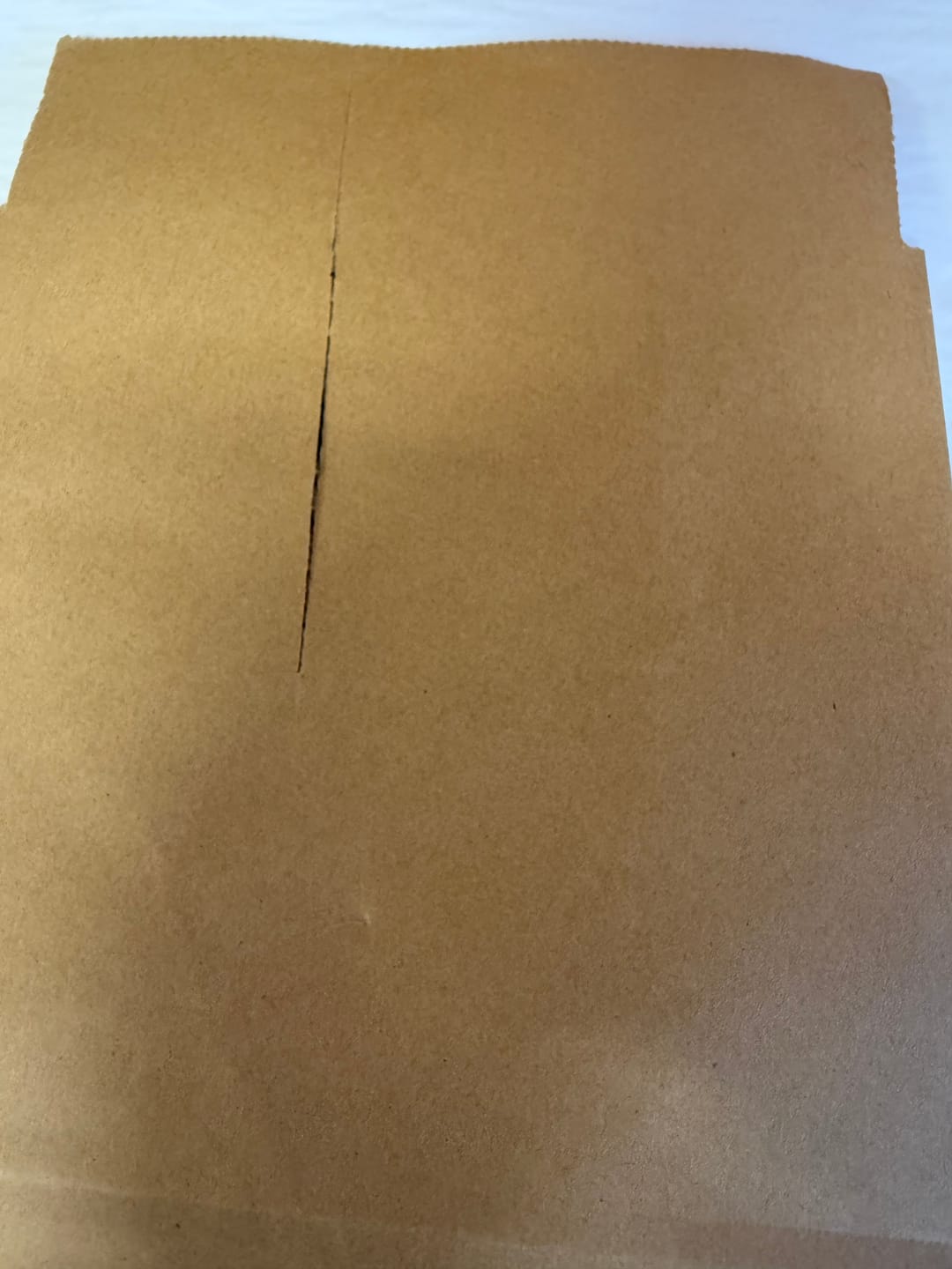 Customer photo review of Kraft Paper Courier Bag 340 x 530 x 210mm M163