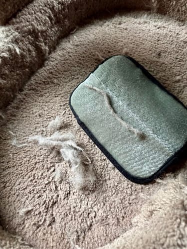 Customer pet hair removal result