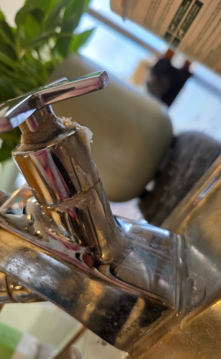 Customer photo review of Scale It Down - Limescale cleaner