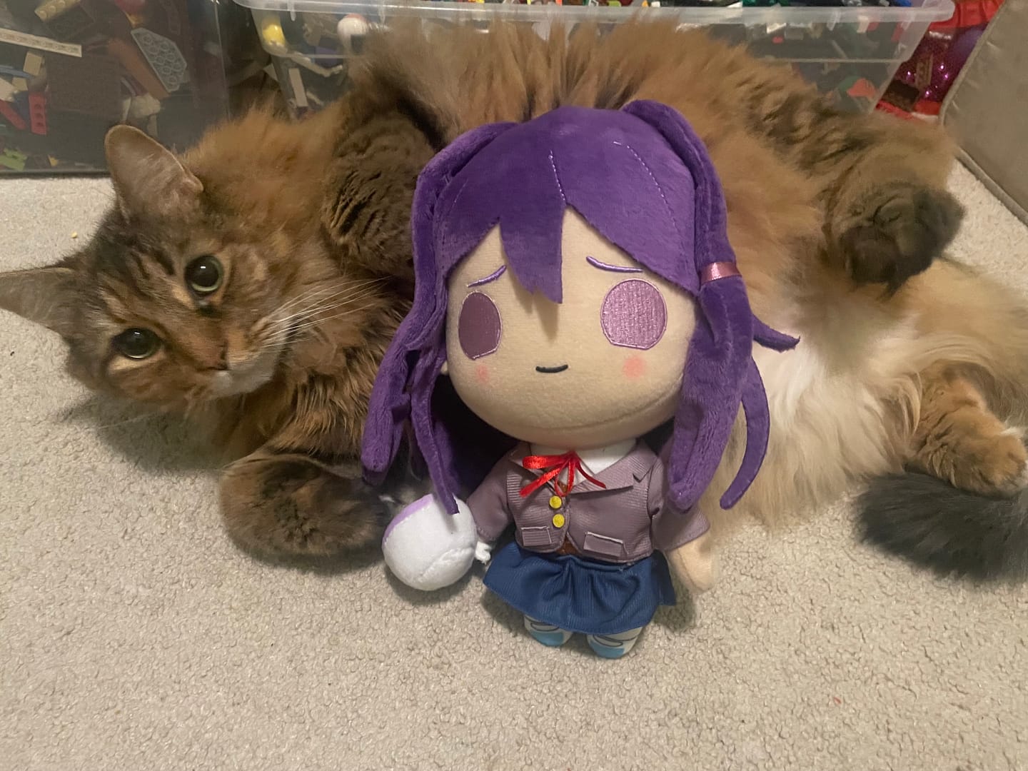 Customer photo review of Doki Doki Literature Club - Yuri Collector's Plush