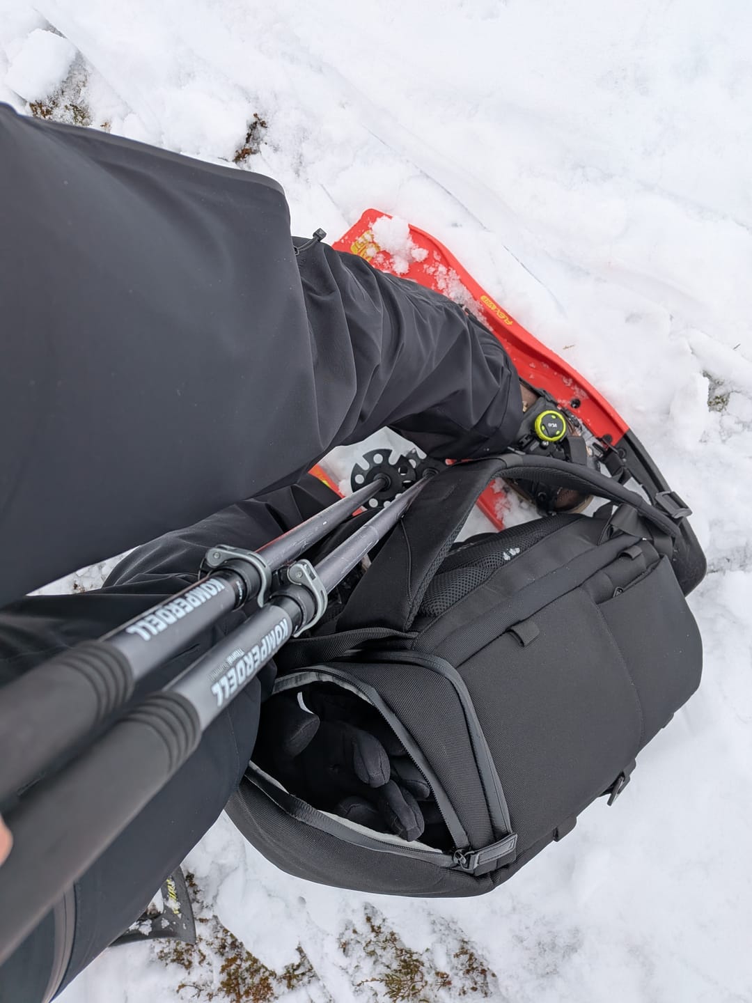Customer photo review of The Organizer 20L