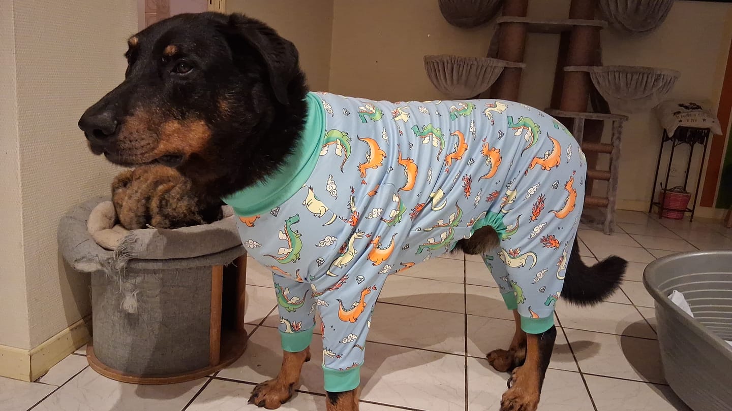 Customer photo review of Dog Pajama - Dragons