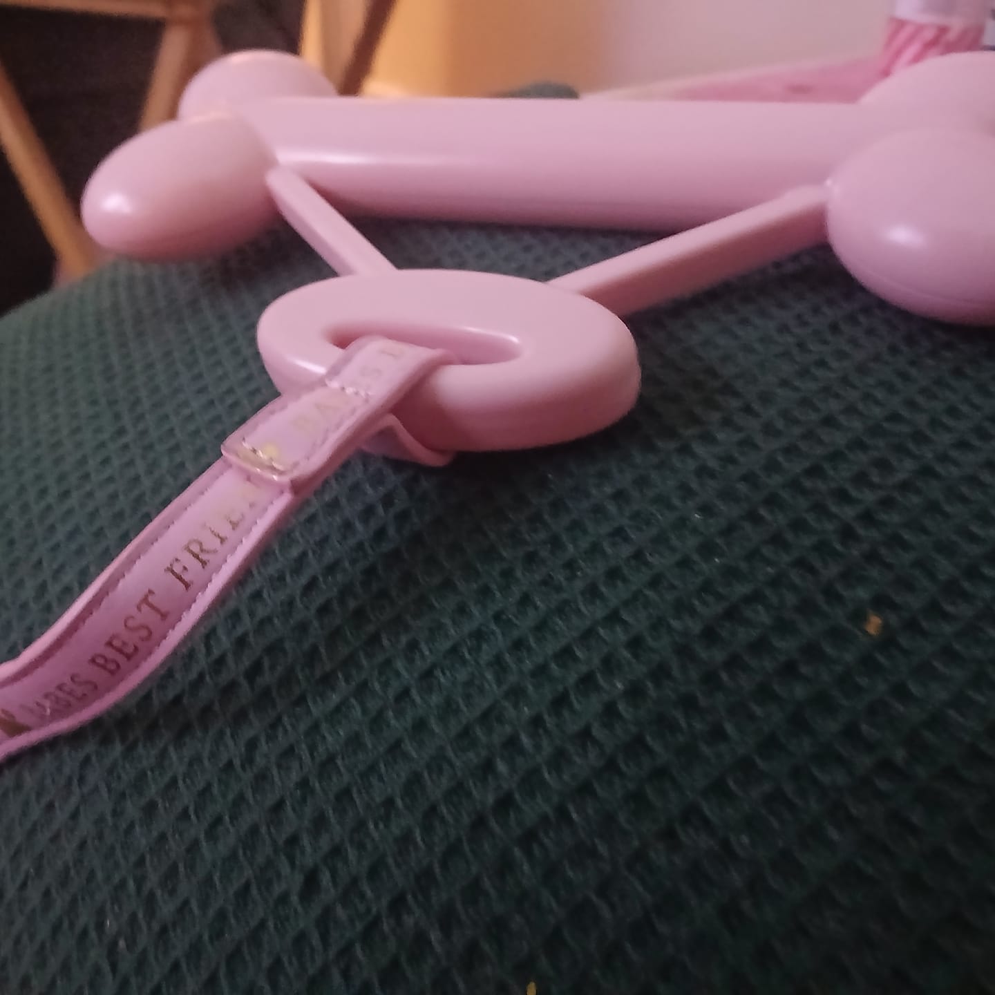 Customer photo review of P.Louise Dog Lead
