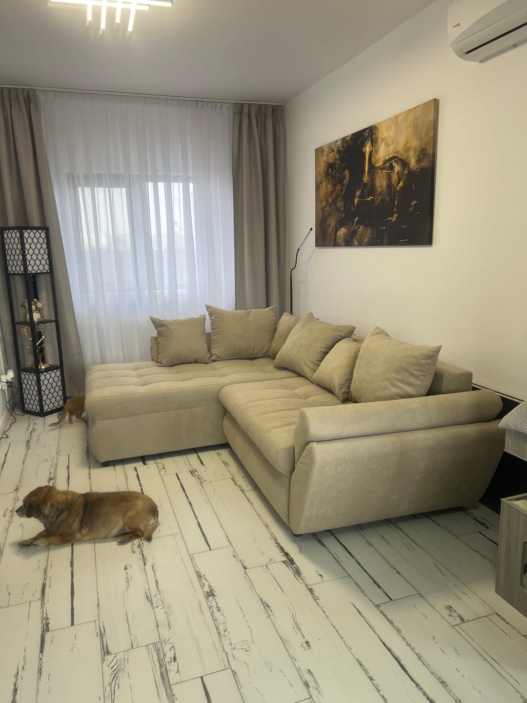 Customer photo review of Colțar extensibil dumonde cu ladă de depozitare si sezut confortabil din spuma HR, Loana Enjoy Camel 270x185 cm