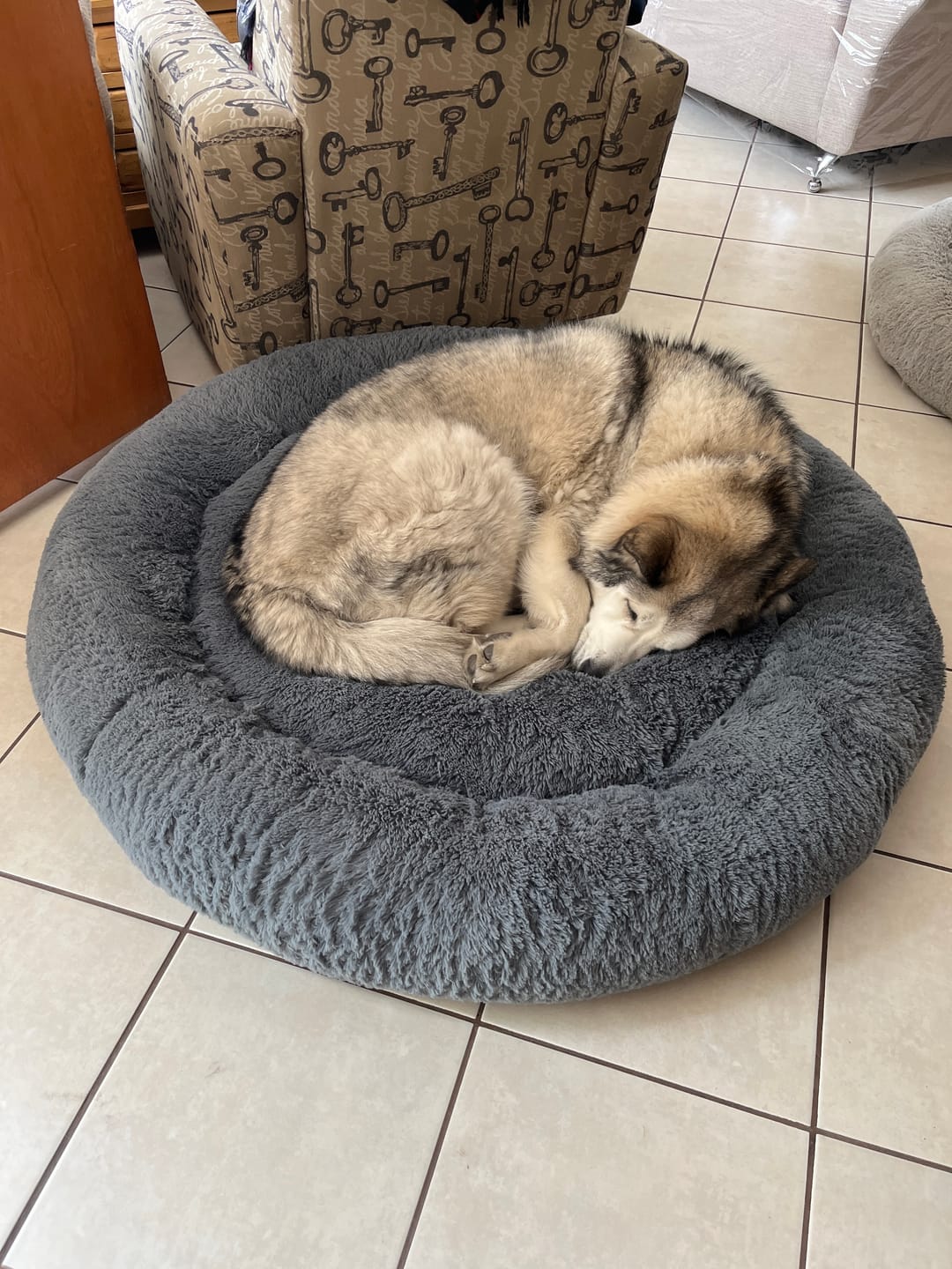 Customer photo review of Funda Original para Cama Antiestrés para Perros