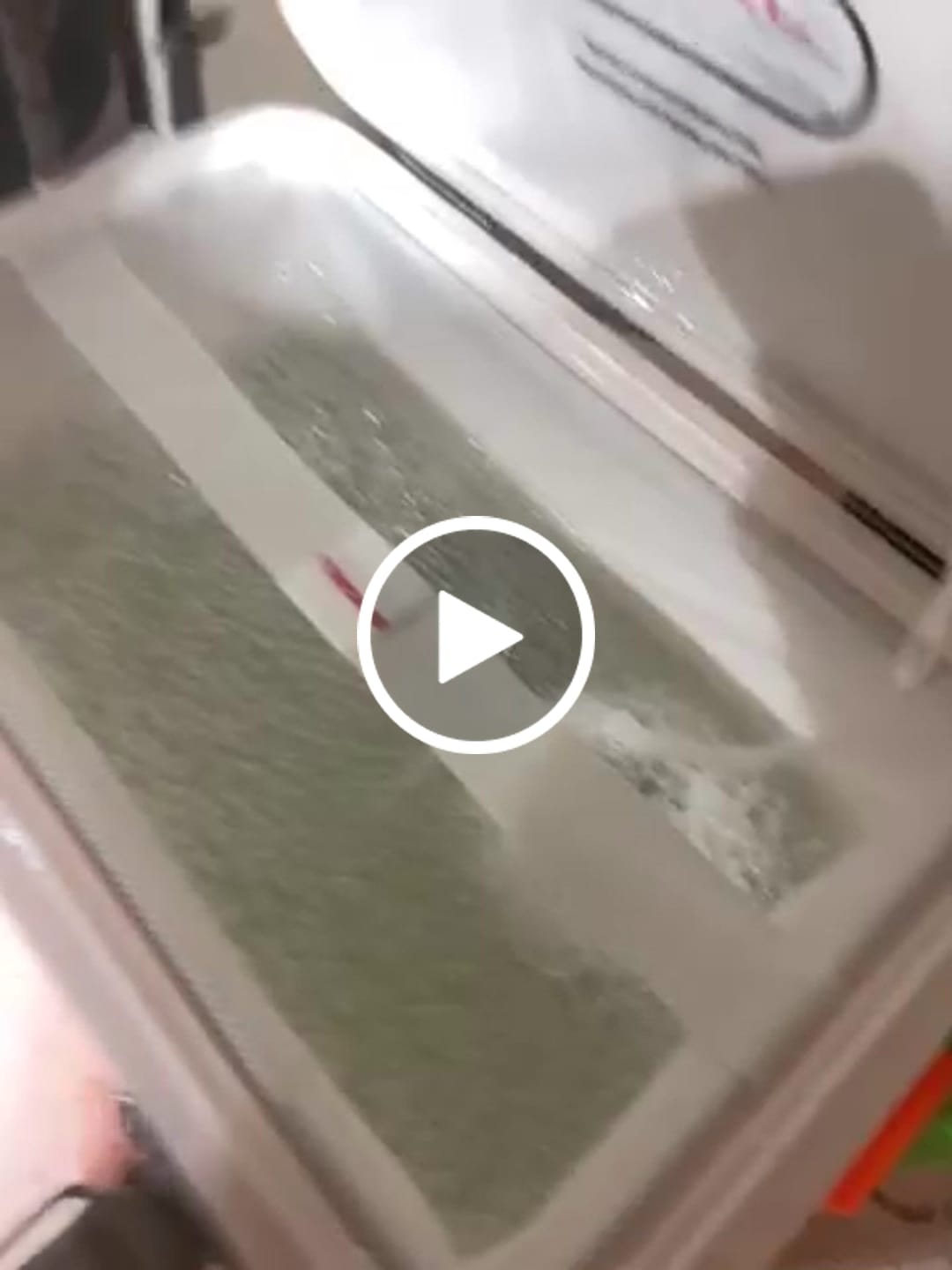 Customer video review of Beyond Bait Pump Rechargeable Aerator - Glow in The Dark Bubbler