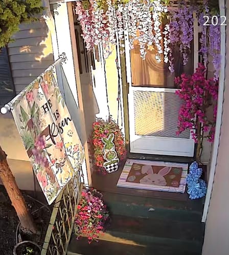 Customer photo review of Boxwood Checkerboard Topiary Bunny Door Hanger