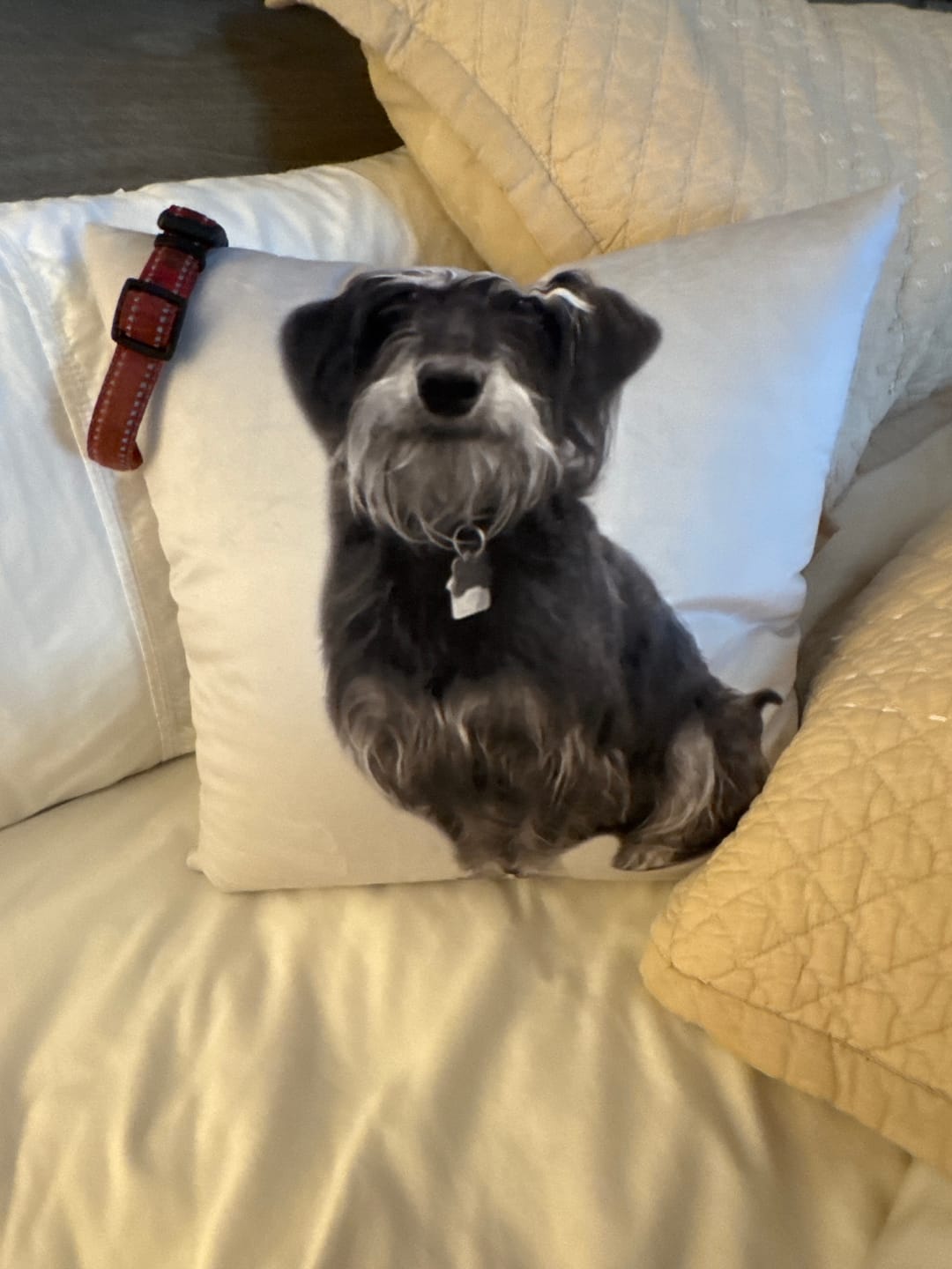 Customer photo review of Custom Pet Portaits Pillow From Photo Personalized Black And White Throw Pillow