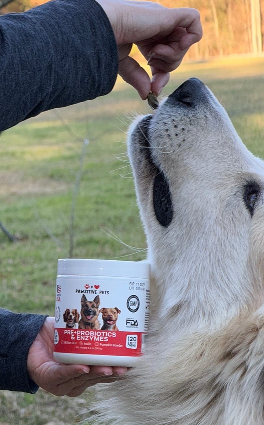Customer photo review of Pre+Probiotics for Dogs Digestive Health – 120 Soft Chews