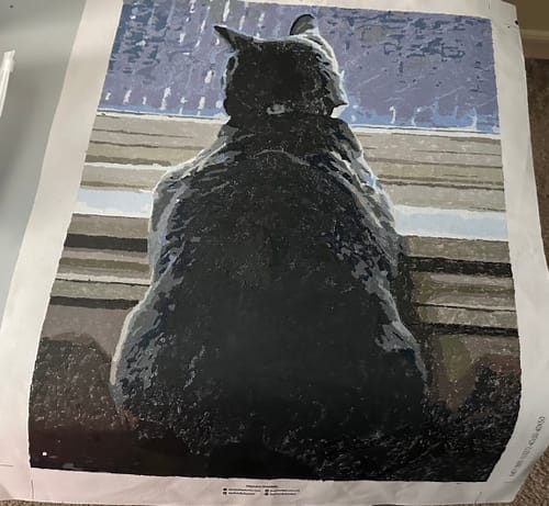 Customer photo review of Custom Paint By Numbers - Personalized Pet Portraits