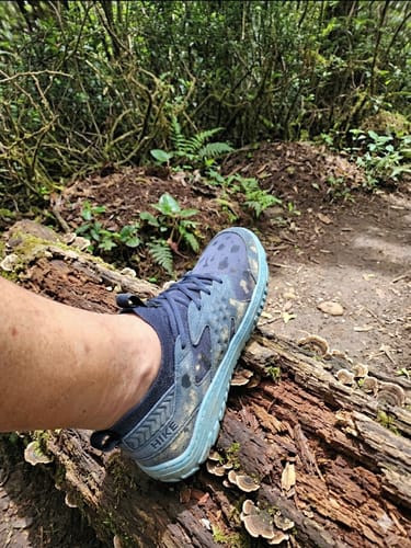 Customer photo review of HIKE Sierra Peak