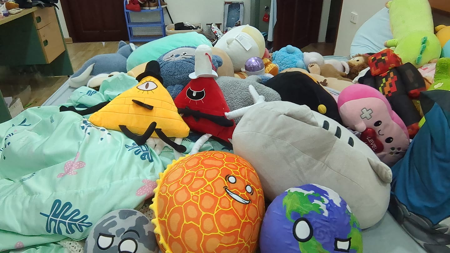 Customer photo review of The SolarBalls Sun Plush