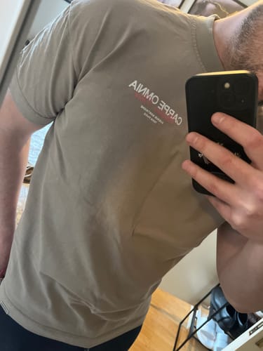 Reviewer in a mirror selfie showing the back print detail of the stone-colored HV Paris T-Shirt.