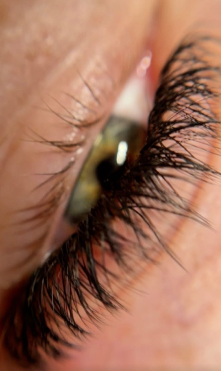 Customer photo review of YY Lashes Fertig Fächer XL Box