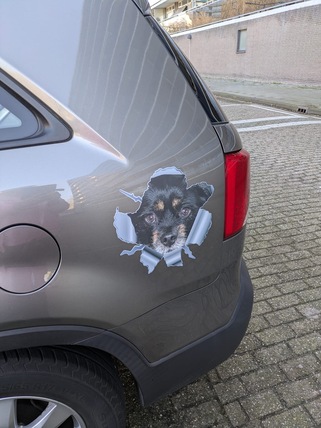 Customer photo review of Spioneren foto - Gepersonaliseerde autosticker