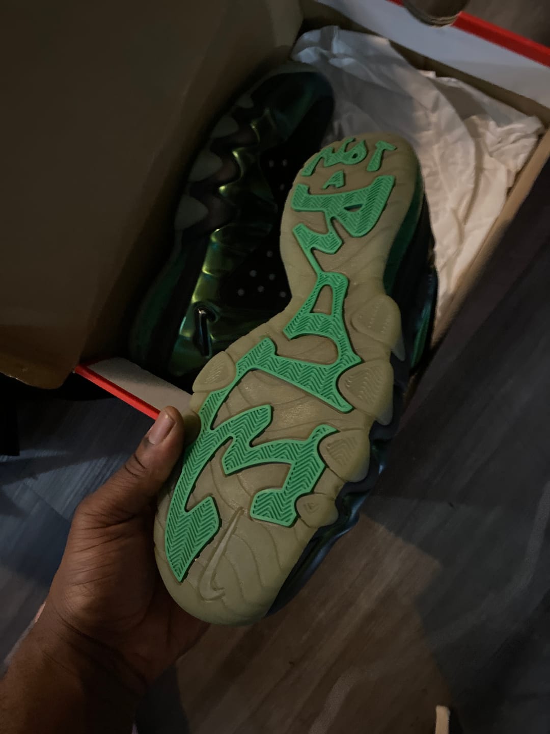 Customer photo review of Nike Barkley Posite Max Gamma Green