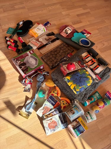 Anmelders store ordre af hundeprodukter, legetøj og godbidder spredt ud på et trægulv.