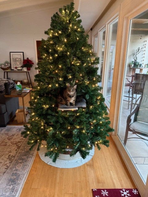 Customer photo review of Cat Christmas Tree - Sep 2026