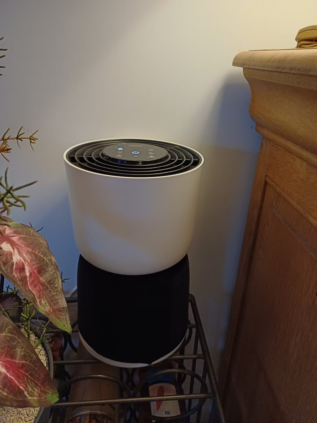 Customer photo review of Luchtreiniger voor mensen met allergieën / H13 HEPA-filter tegen stof, schimmel, pollen, stof en geurtjes / Luchtzuiveraar / Met luchtkwaliteitsindicatielamp