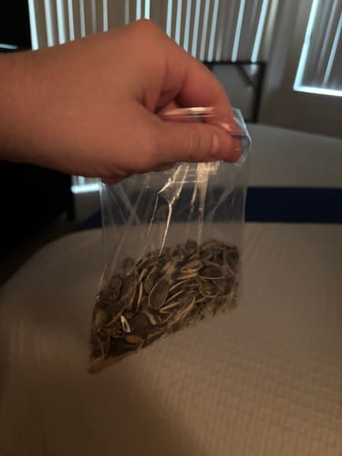 Customer holding a small clear bag filled with sunflower seeds from the VARIETY PACK.