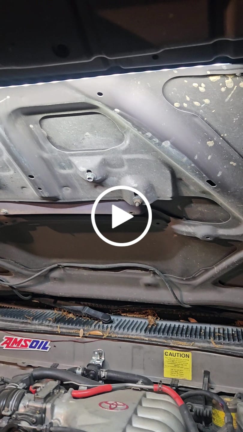 Customer video review of Engine Bay LED Light Kit Universal Automatic On/Off