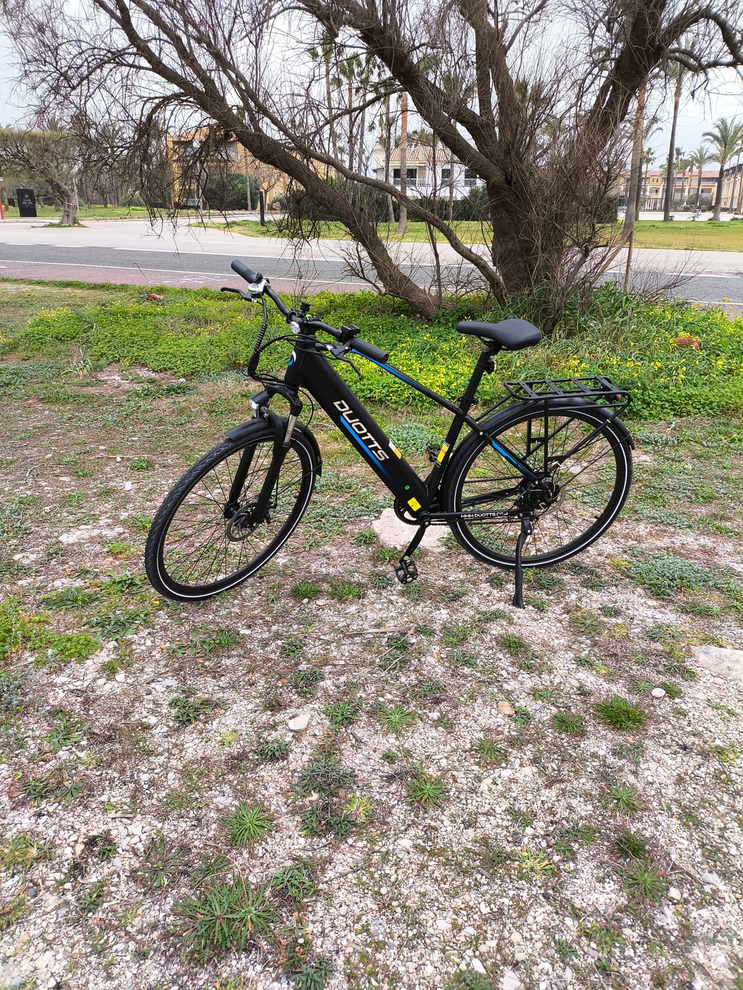 Customer photo review of DUOTTS C29Lite Electric Bike