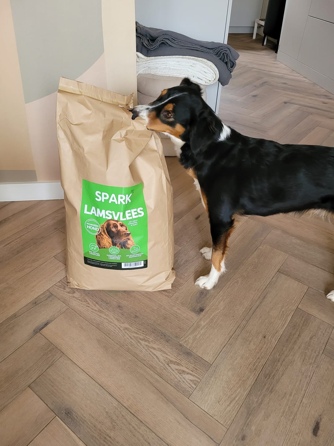 Customer photo review of Volwassen - Lamsvlees met Zoete Aardappel & Munt
