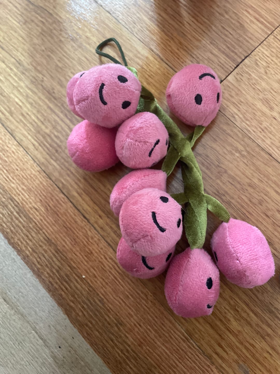 Customer photo review of Gracious Grapes