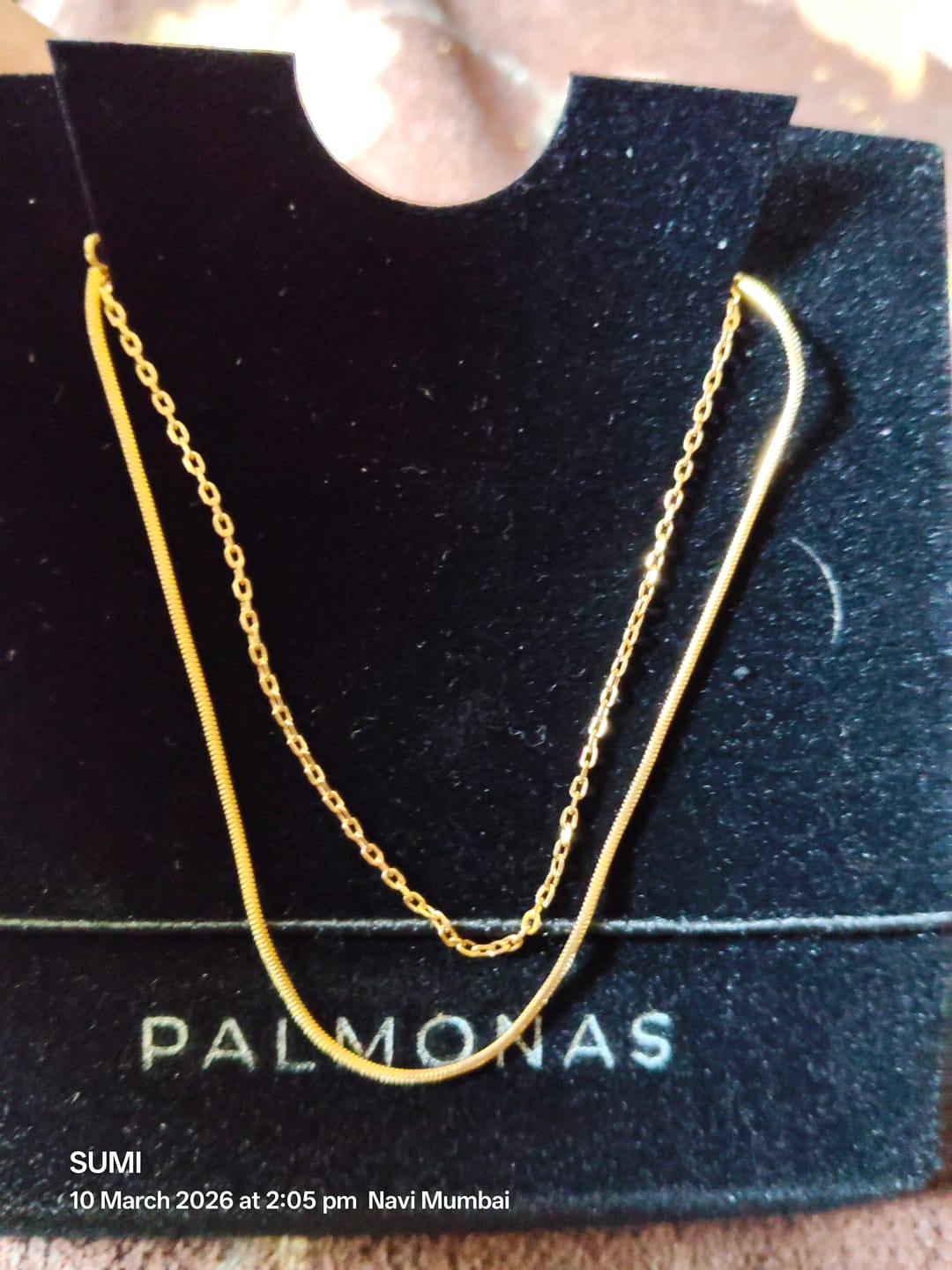 Customer photo review of Sleek Dual Layer Anklet