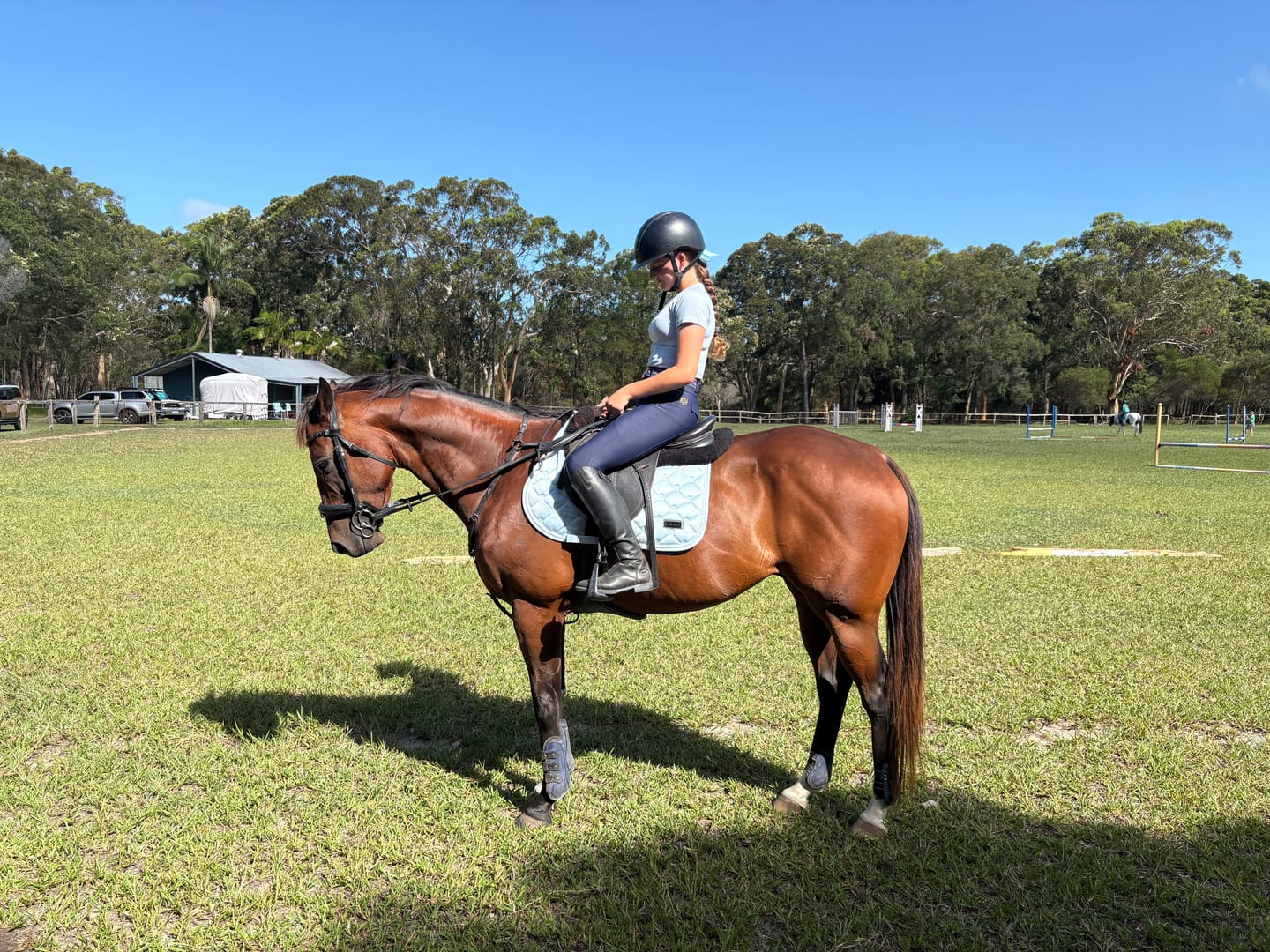 Customer photo review of Digestive EQ