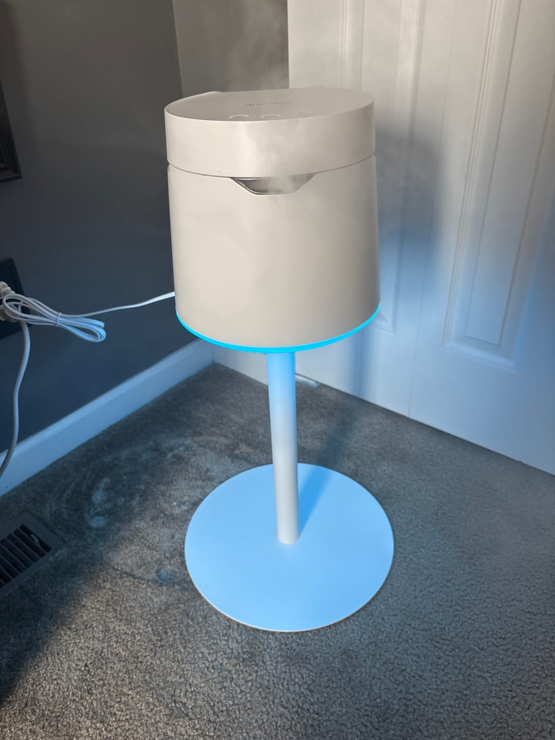 Customer photo review of Carepod One Plus with Stand - Stainless Steel Humidifier with Mood Light