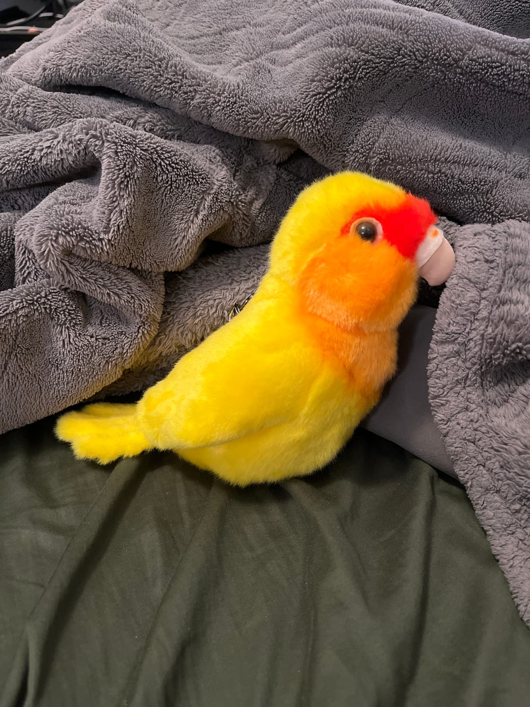 Customer photo review of Yellow Lovebird Soft Stuffed Plush Toy