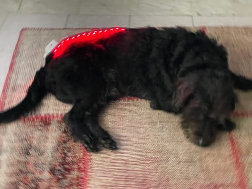 Customer photo review of heilys® FlexiPad