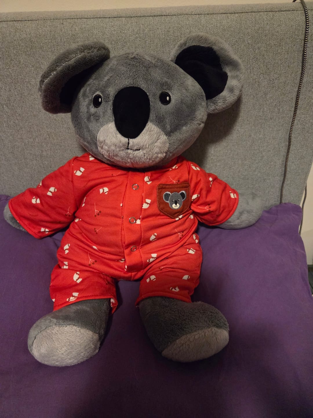 Customer photo review of Koala Kleding 3.0 Lotgenootje